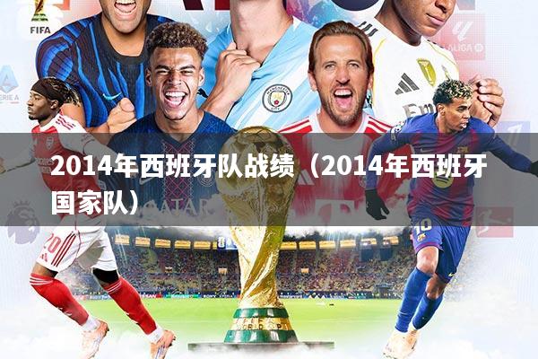 2014年西班牙队战绩（2014年西班牙国家队）