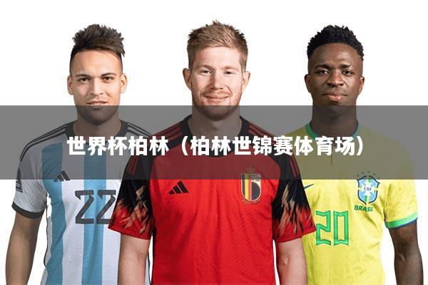 世界杯柏林（柏林世锦赛体育场）