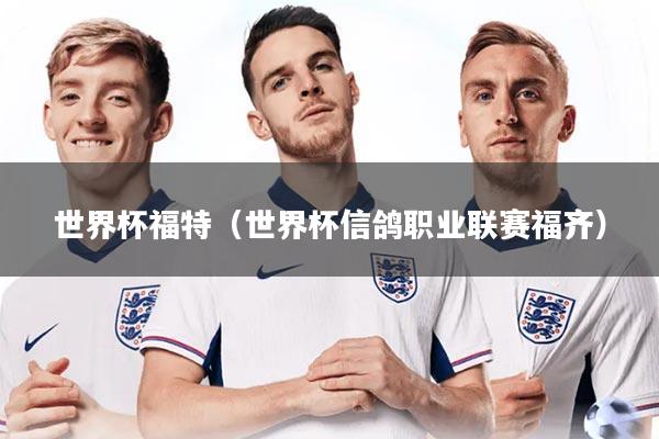 世界杯福特（世界杯信鸽职业联赛福齐）