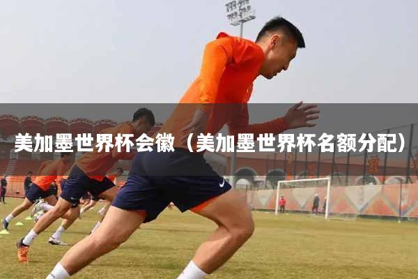 美加墨世界杯会徽（美加墨世界杯名额分配）
