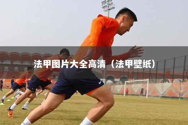 法甲图片大全高清(法甲壁纸)