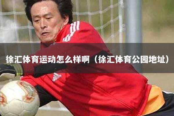 徐汇体育运动怎么样啊（徐汇体育公园地址）